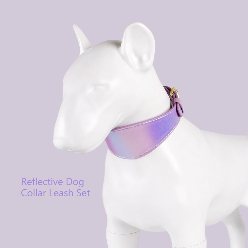 ชุดปลอกคอและสายจูงสุนัขหนังสะท - Headcollar Rope Set บทวิจารณ์และราคา