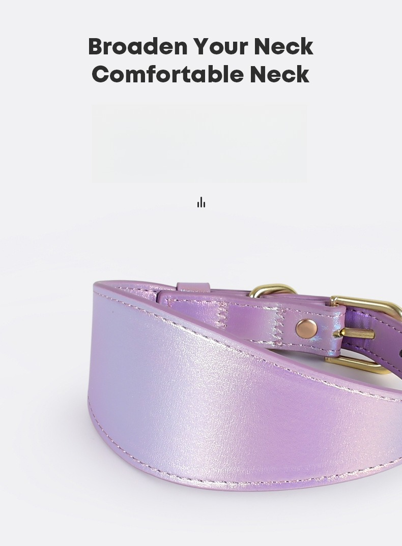 ชุดปลอกคอและสายจูงสุนัขหนังสะท - Headcollar Rope Set บทวิจารณ์และราคา