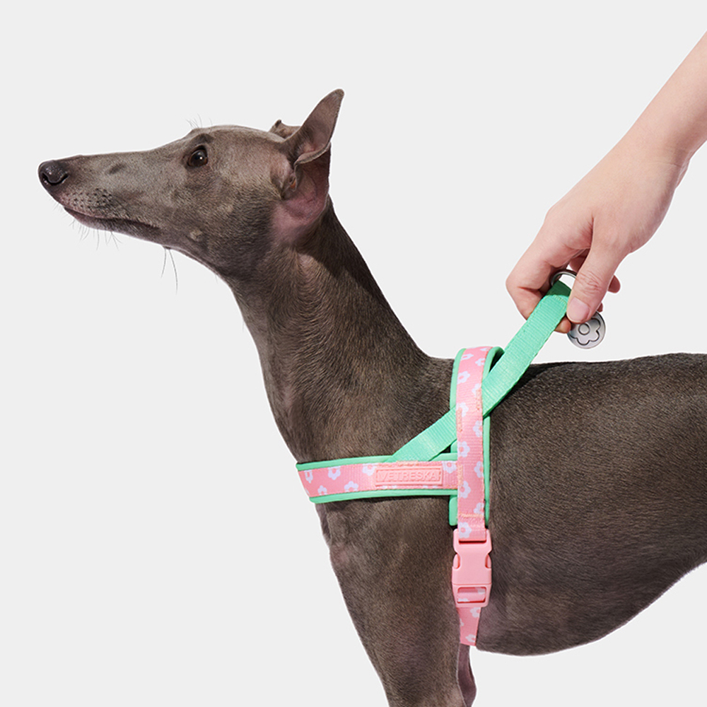 ชุดสายรัดอกสัตว์เลี้ยงสุดหรู พ - Headcollar Rope Set บทวิจารณ์และราคา