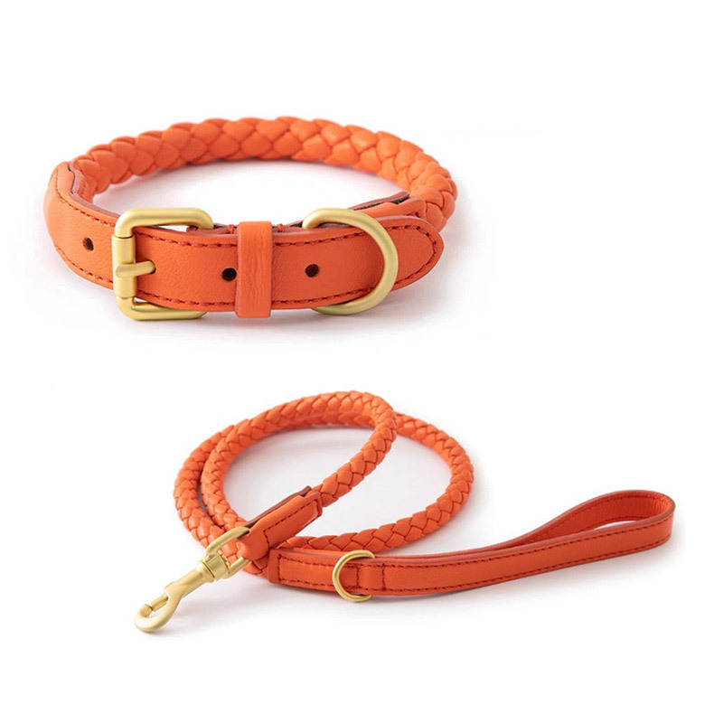 ชุดปลอกคอและสายจูงสัตว์เลี้ยงแ - Headcollar Rope Set บทวิจารณ์และราคา