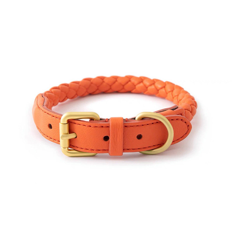 ชุดปลอกคอและสายจูงสัตว์เลี้ยงแ - Headcollar Rope Set บทวิจารณ์และราคา
